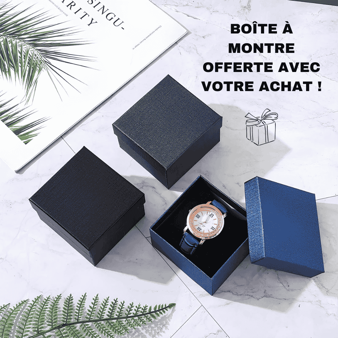 Seiko Mod GMT Bruce Wayne Or Noir 40mm - Montre Automatique Personnalisée | NH34